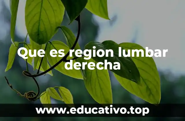 Que es region lumbar derecha