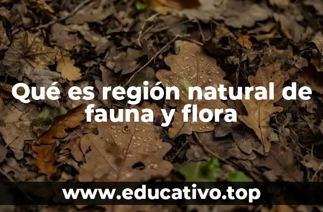 Qué es región natural de fauna y flora