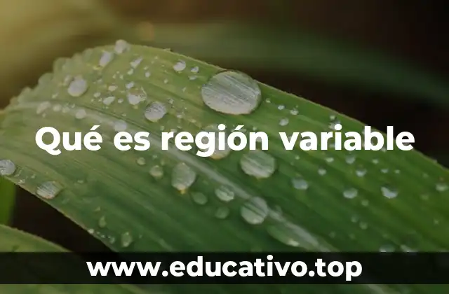 Qué es región variable