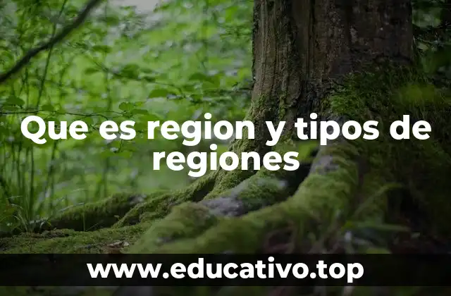 Que es region y tipos de regiones