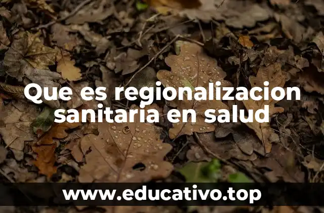 Que es regionalizacion sanitaria en salud