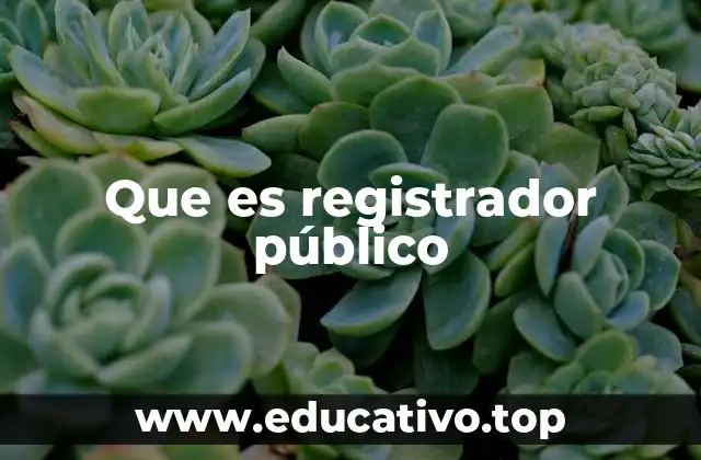 Que es registrador público