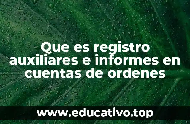 Que es registro auxiliares e informes en cuentas de ordenes