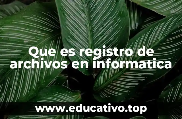Que es registro de archivos en informatica
