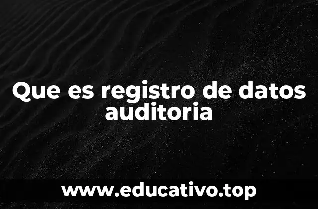 Que es registro de datos auditoria