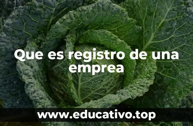 Que es registro de una emprea
