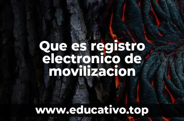 Que es registro electronico de movilizacion