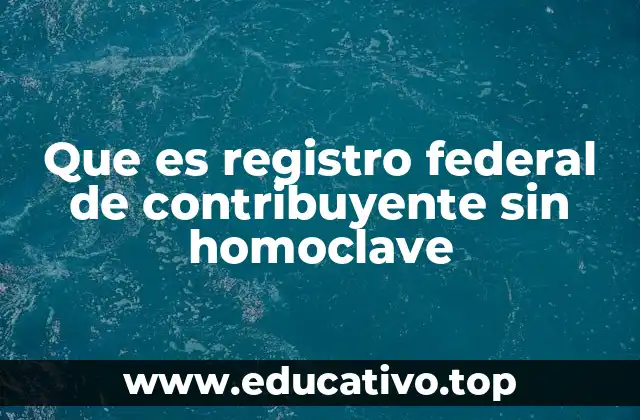 Que es registro federal de contribuyente sin homoclave