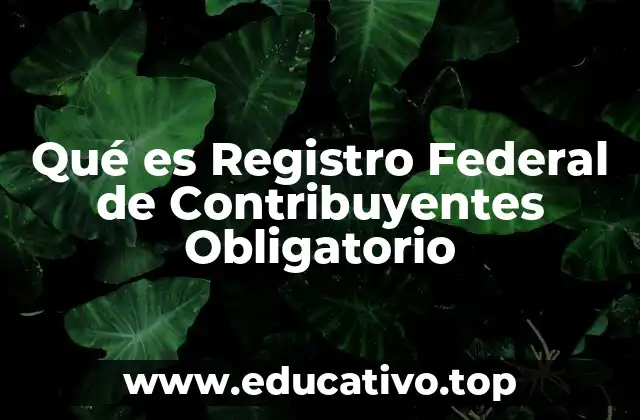 Qué es Registro Federal de Contribuyentes Obligatorio