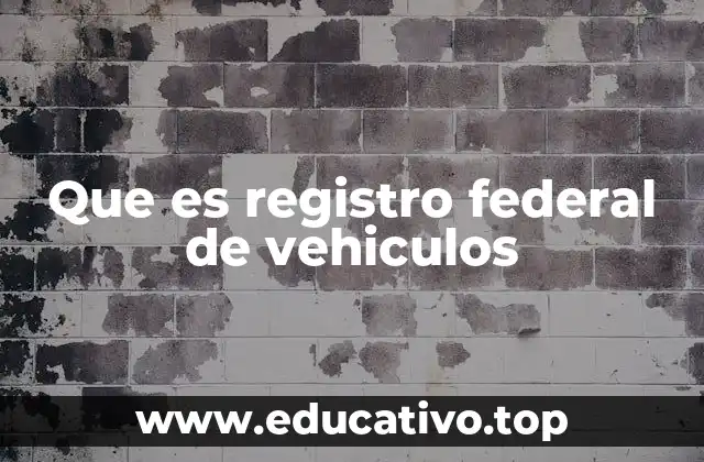 Que es registro federal de vehiculos