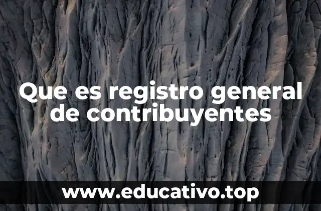 La importancia del Registro en el sistema tributario