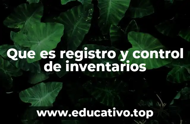 Que es registro y control de inventarios