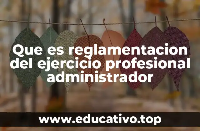 Que es reglamentacion del ejercicio profesional administrador