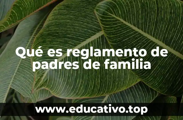 Qué es reglamento de padres de familia