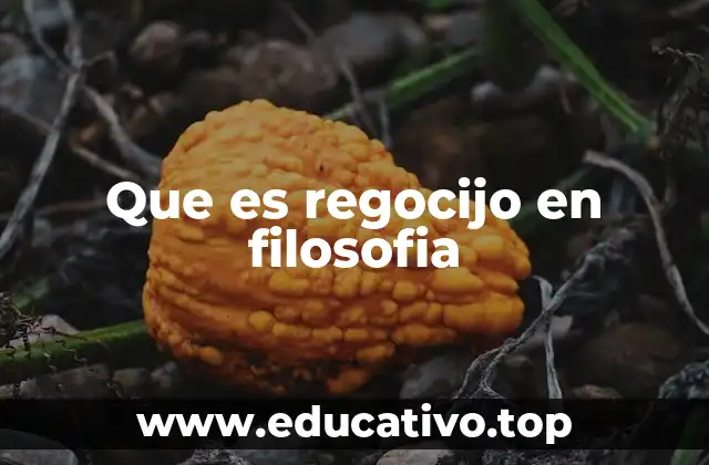 Que es regocijo en filosofia