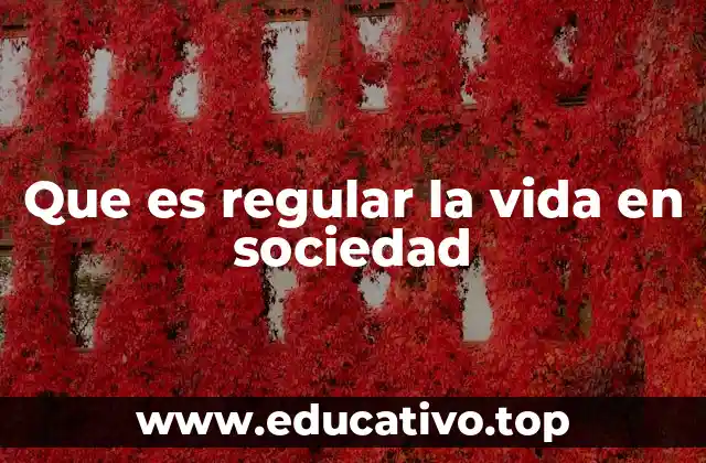 Que es regular la vida en sociedad