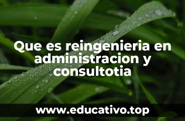 Que es reingenieria en administracion y consultotia