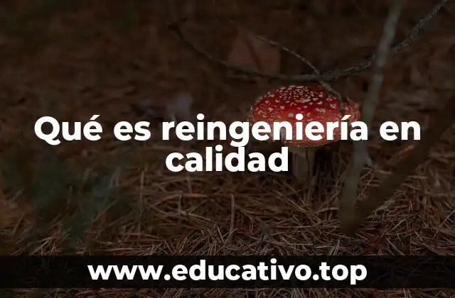 Qué es reingeniería en calidad