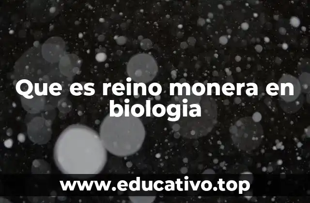 Que es reino monera en biologia