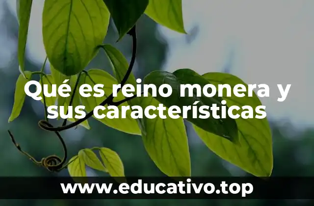 Qué es reino monera y sus características