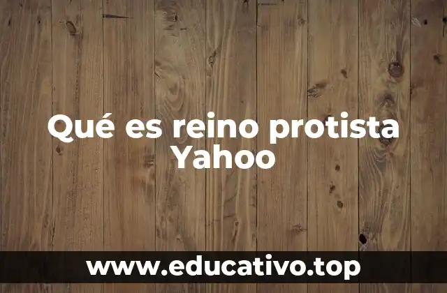 Qué es reino protista Yahoo