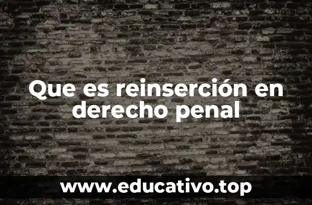 Que es reinserción en derecho penal