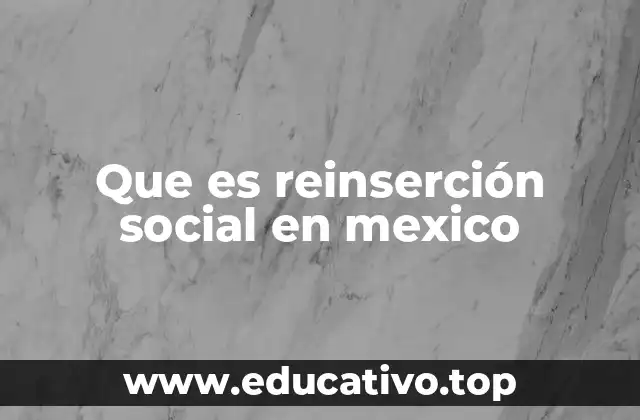 Que es reinserción social en mexico