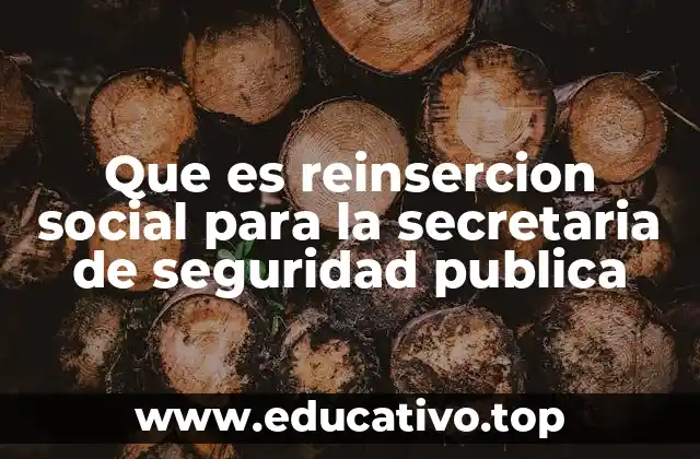 Que es reinsercion social para la secretaria de seguridad publica