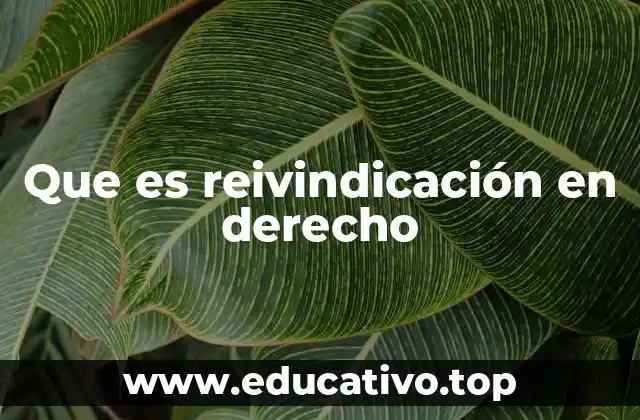 Que es reivindicación en derecho