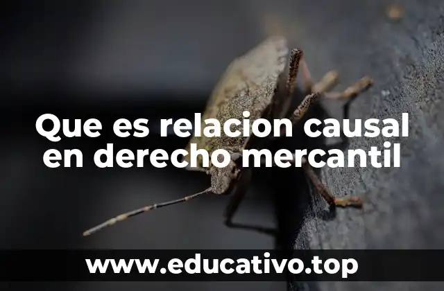 Que es relacion causal en derecho mercantil