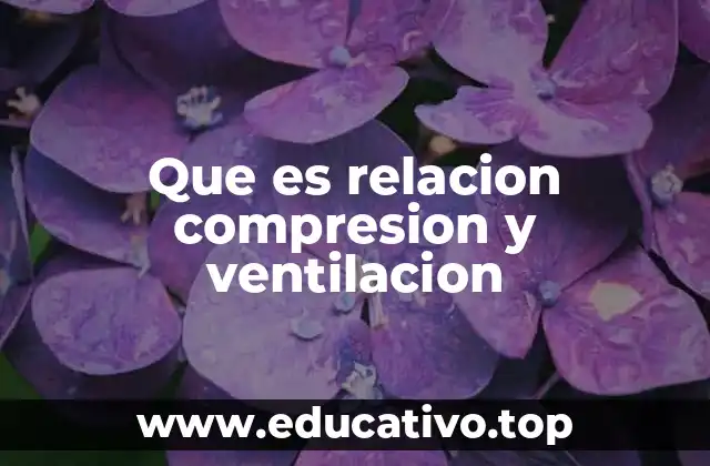 Cómo funcionan juntas compresión y ventilación en un sistema respiratorio