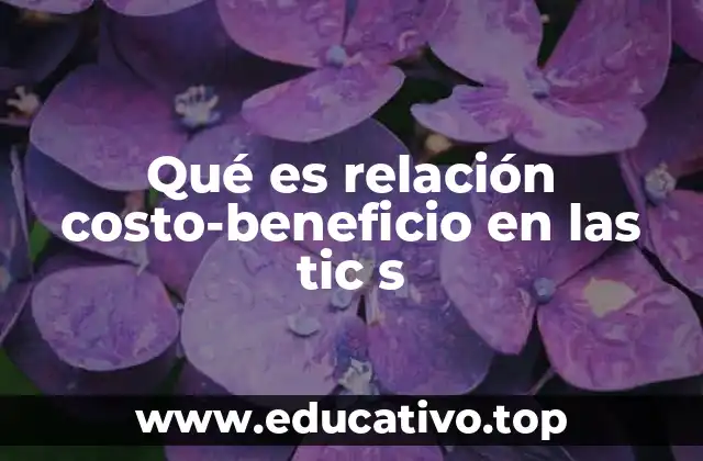 Qué es relación costo-beneficio en las tic s