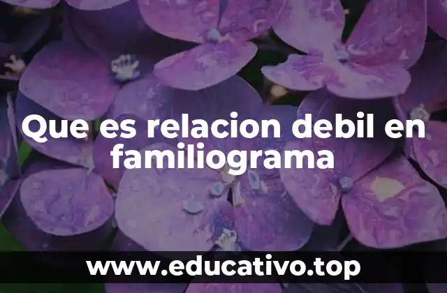 Que es relacion debil en familiograma