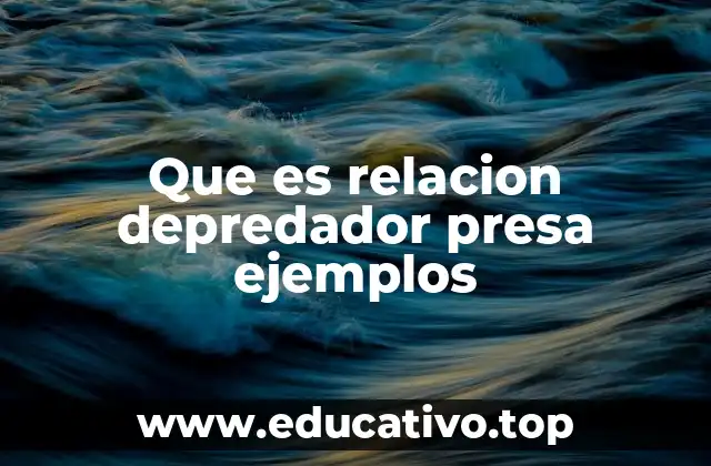 Que es relacion depredador presa ejemplos