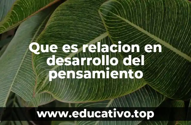 Que es relacion en desarrollo del pensamiento