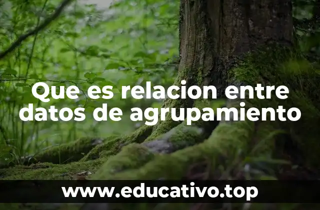 Que es relacion entre datos de agrupamiento