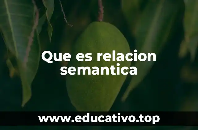 Que es relacion semantica