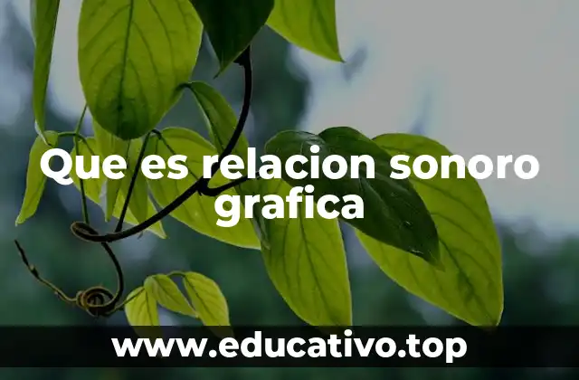 Que es relacion sonoro grafica