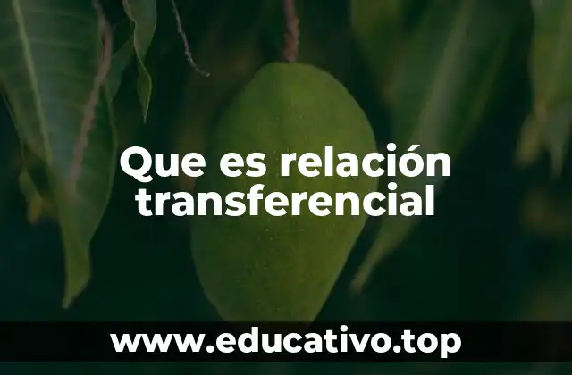 Que es relación transferencial