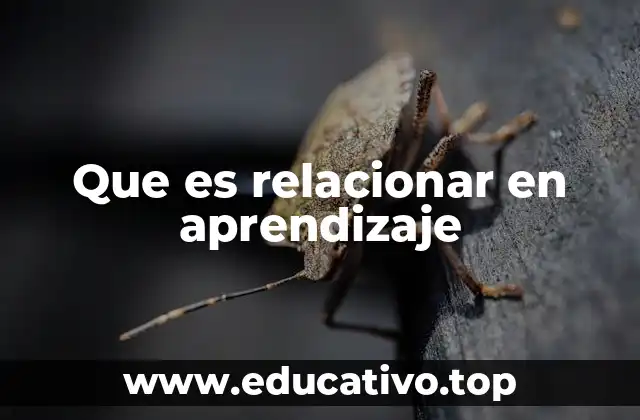 Que es relacionar en aprendizaje