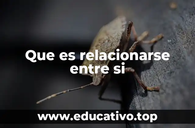 Que es relacionarse entre si