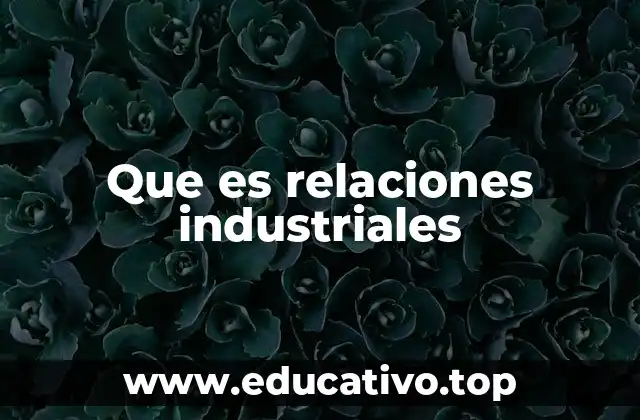 Que es relaciones industriales