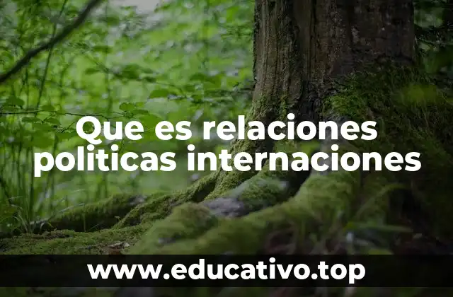 Que es relaciones politicas internaciones