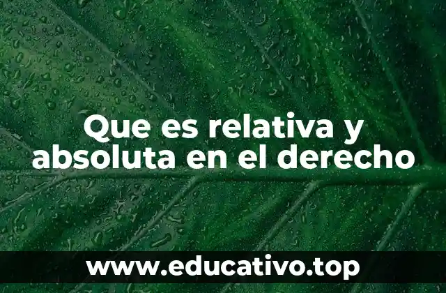Que es relativa y absoluta en el derecho