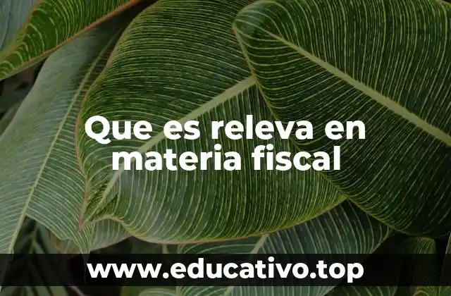 Que es releva en materia fiscal