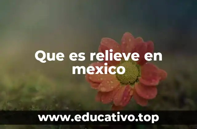 Que es relieve en mexico