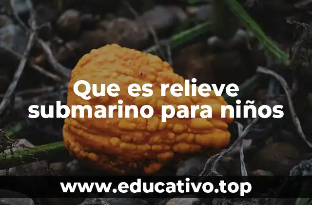 Que es relieve submarino para niños