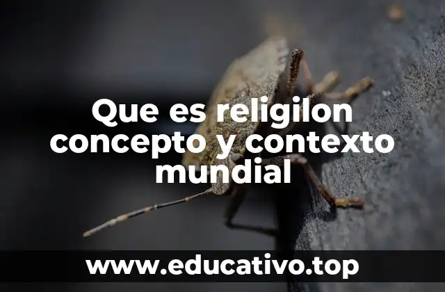 Que es religilon concepto y contexto mundial