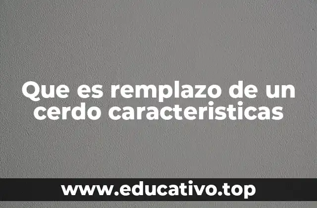 Que es remplazo de un cerdo caracteristicas