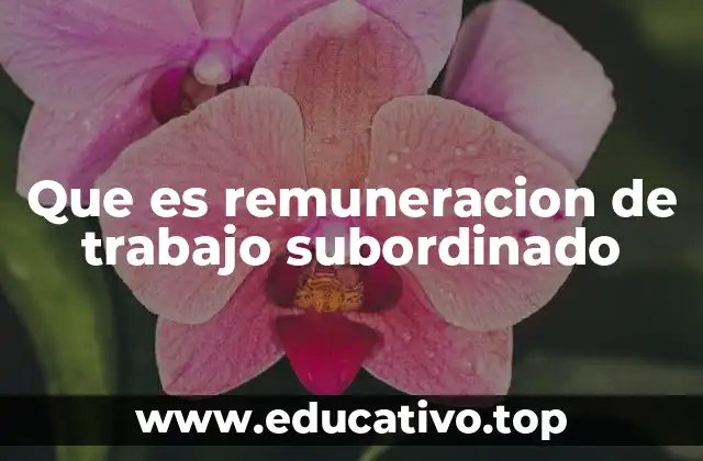 Que es remuneracion de trabajo subordinado